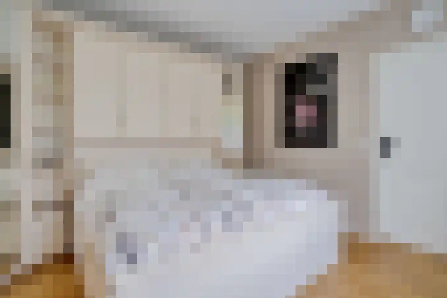 Langestraat 101 B Klazienaveen thumbnail 32
