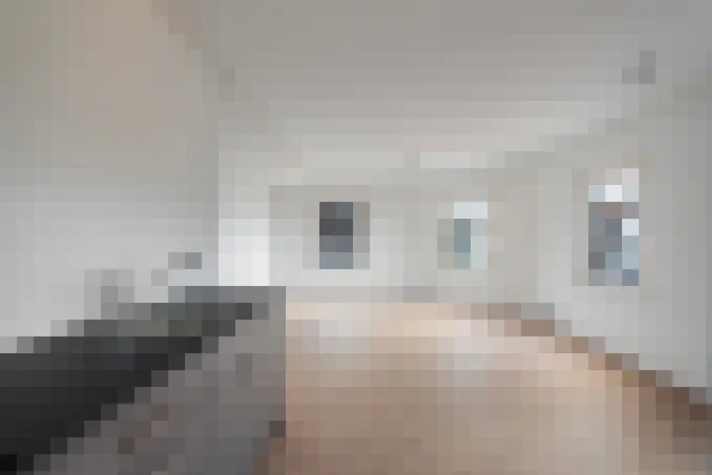 Langestraat 106 's-Gravenzande thumbnail 15