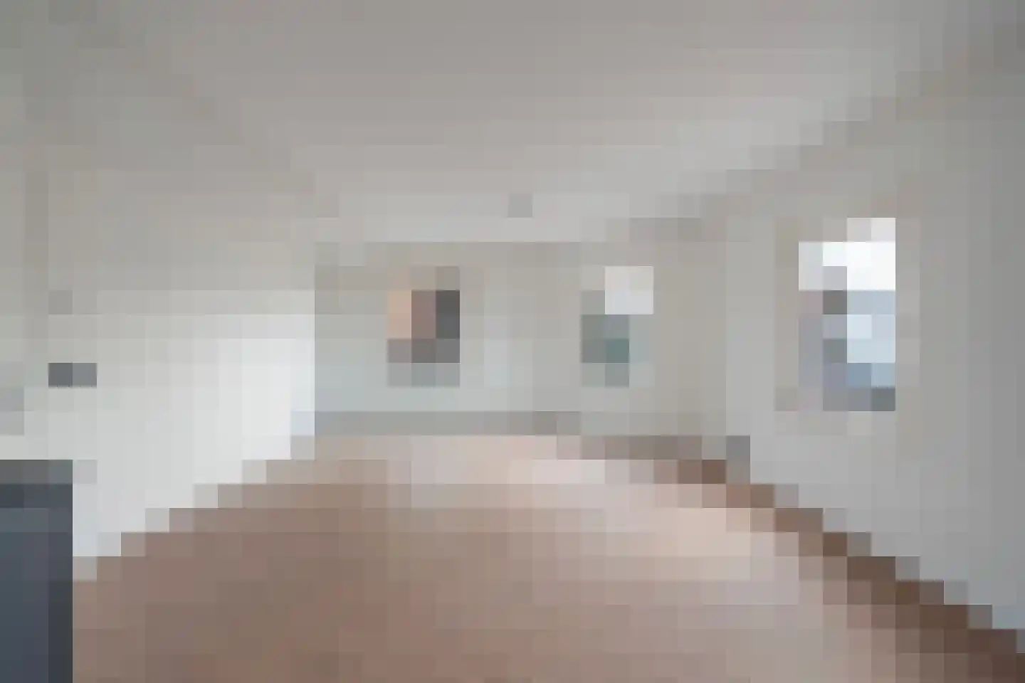 Langestraat 106 's-Gravenzande thumbnail 4