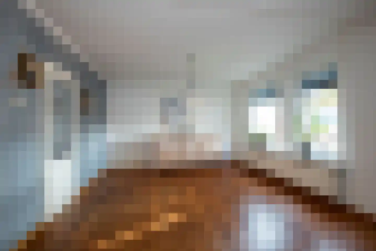 Langestraat 108 Delden thumbnail 11
