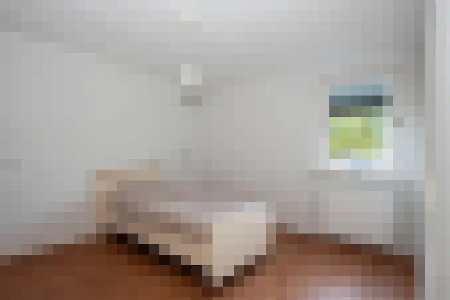 Langestraat 108 Delden thumbnail 22