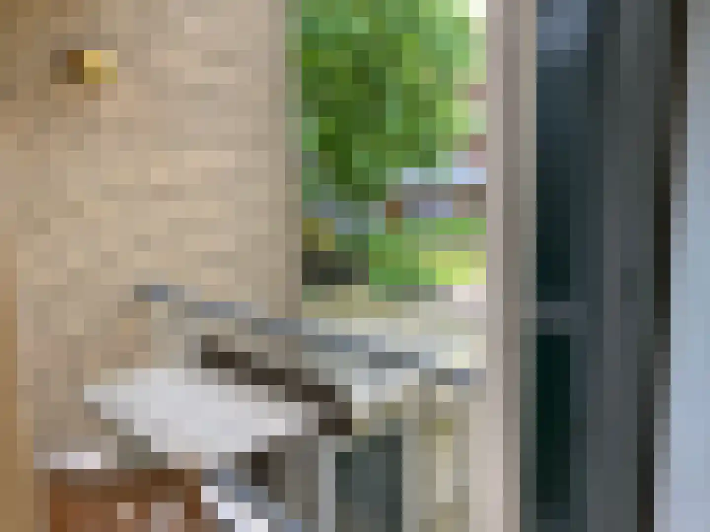 Langestraat 11 05 Tilburg thumbnail 37