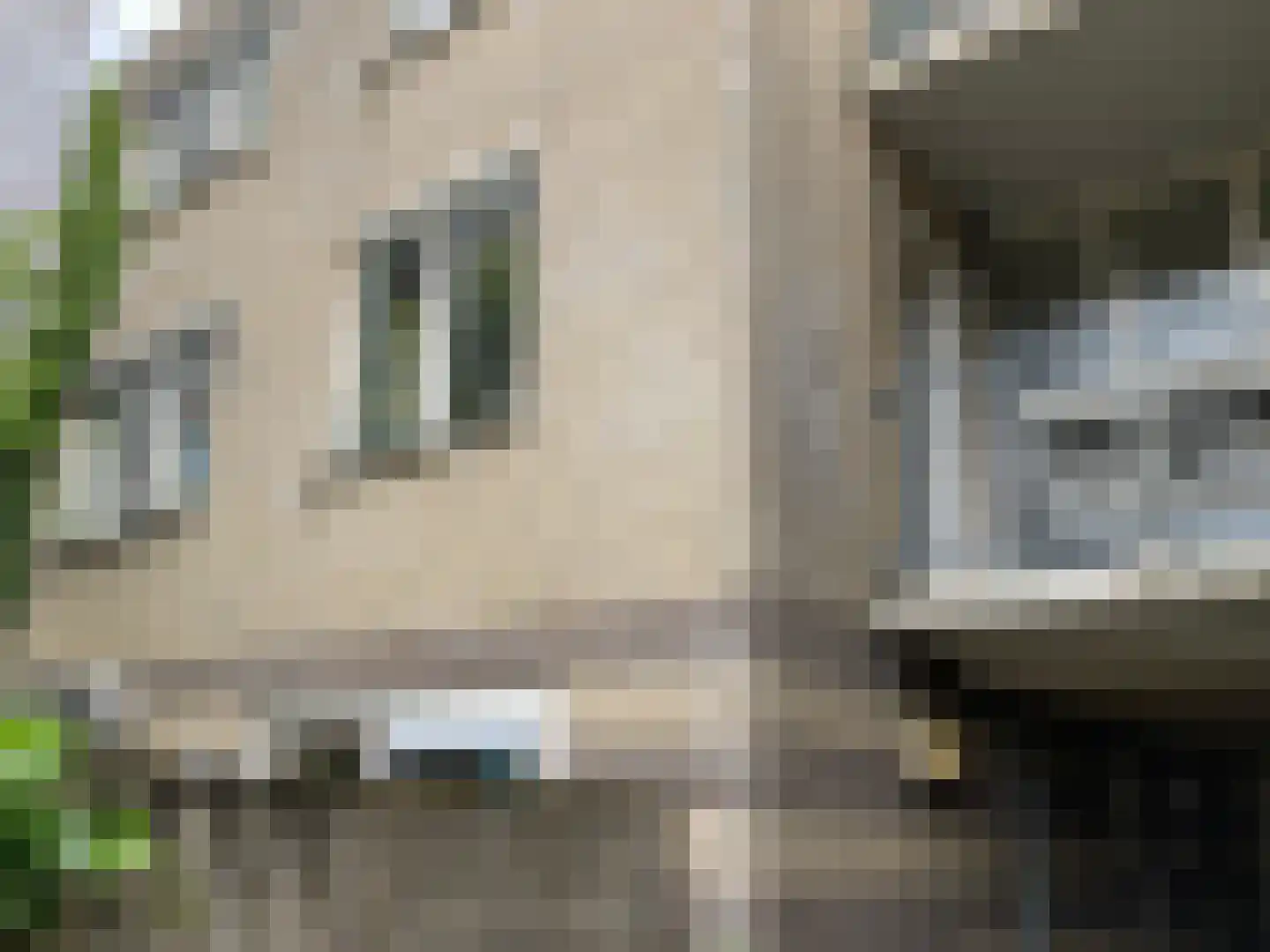 Langestraat 11 05 Tilburg thumbnail 5