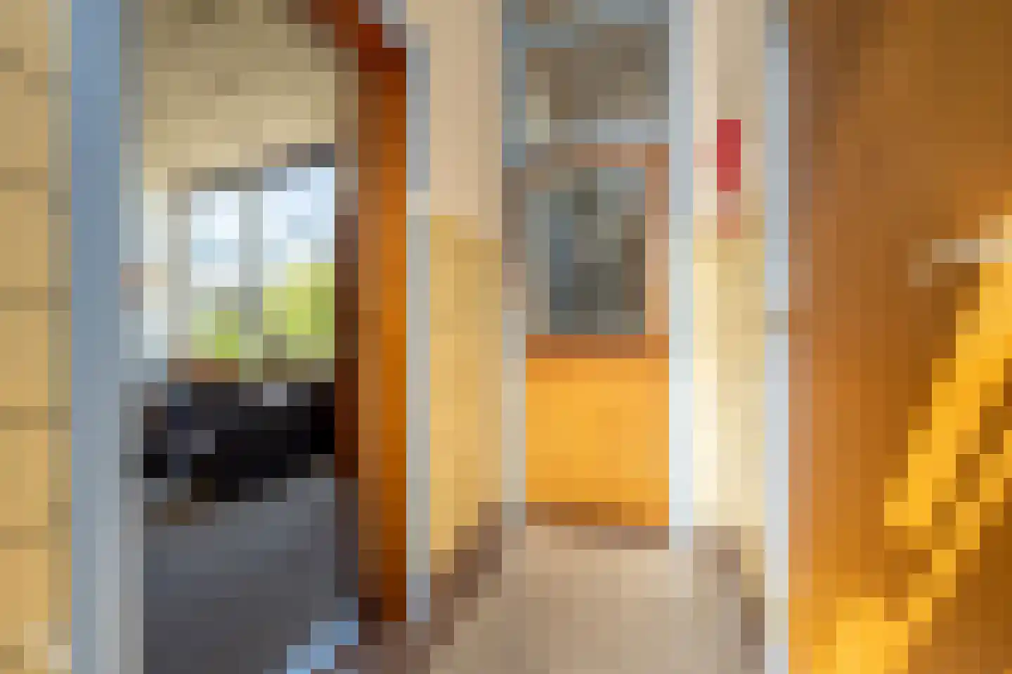 Langestraat 11 's-Gravendeel thumbnail 26