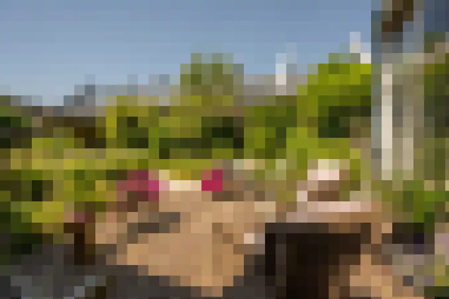Langestraat 11 's-Gravendeel thumbnail 4