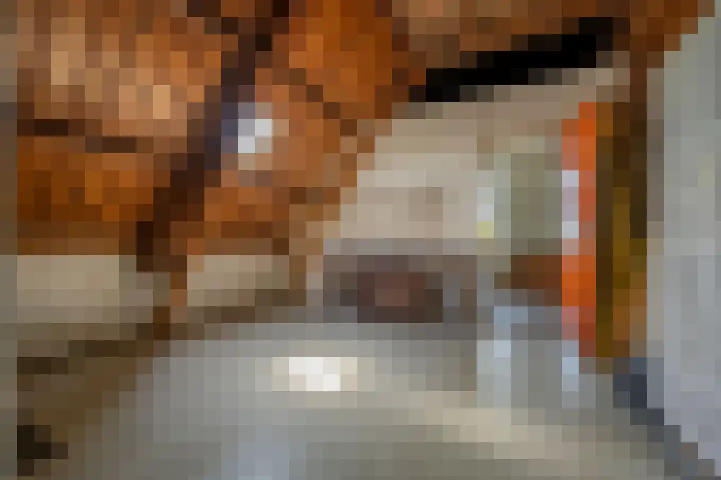 Langestraat 11 's-Gravendeel thumbnail 51