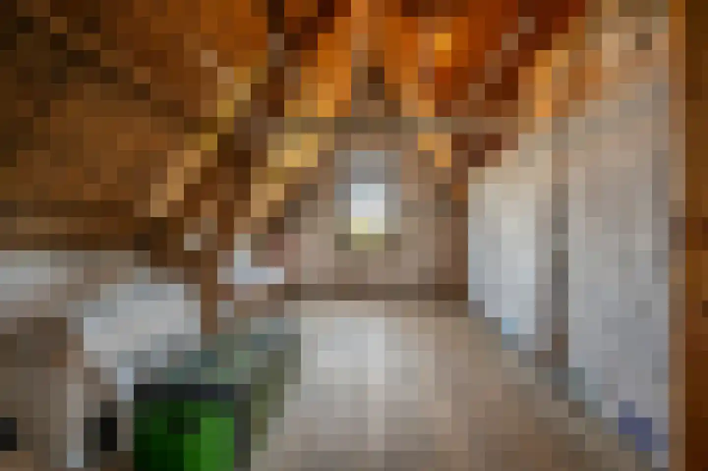Langestraat 11 's-Gravendeel thumbnail 54