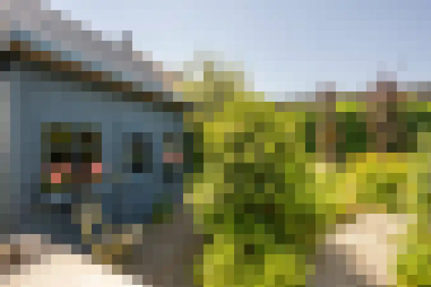 Langestraat 11 's-Gravendeel thumbnail 57