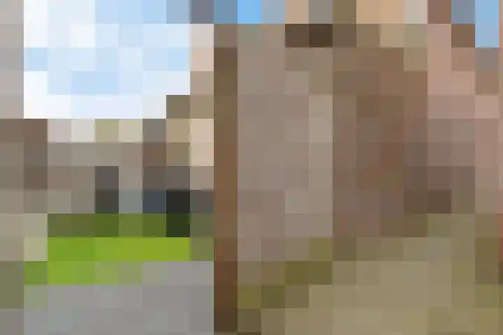 Langestraat 110 Genemuiden thumbnail 14