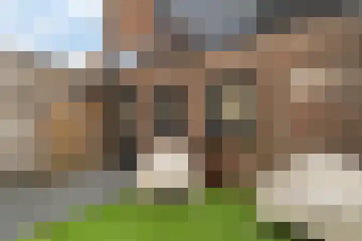 Langestraat 110 Genemuiden thumbnail 16