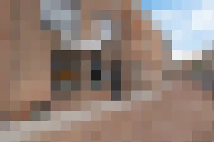 Langestraat 110 Genemuiden thumbnail 8
