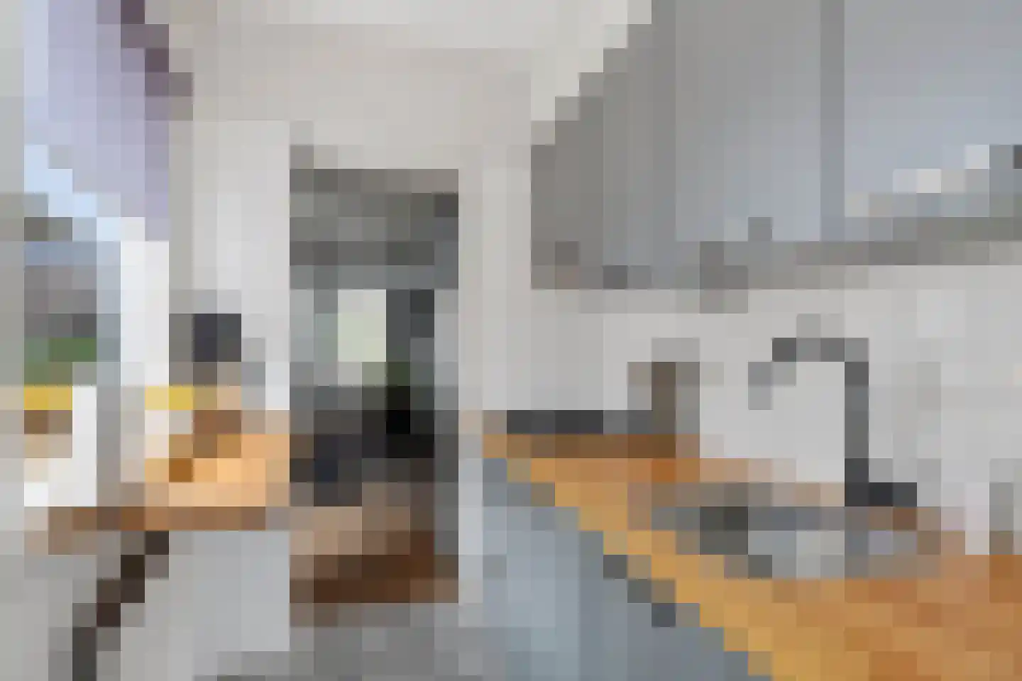 Langestraat 12 Brielle thumbnail 15