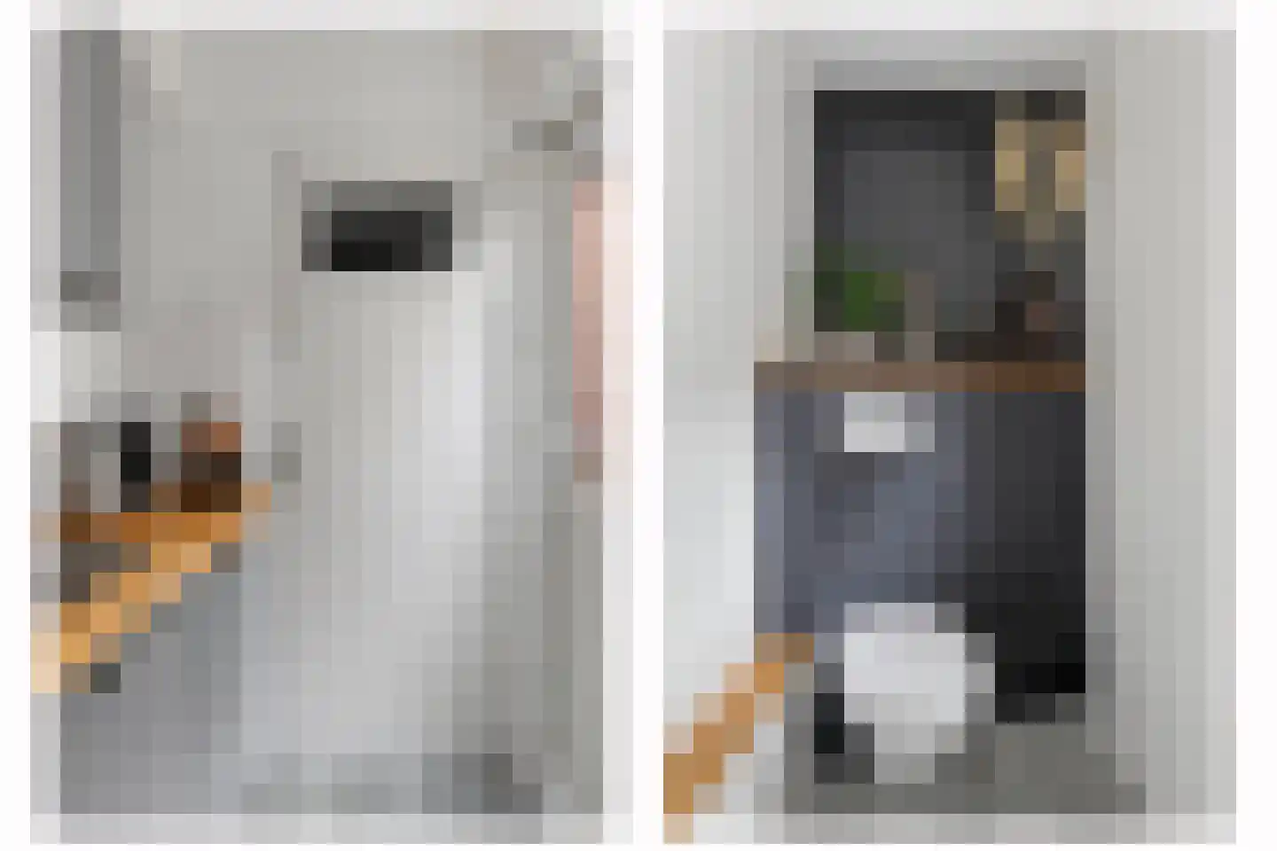Langestraat 12 Brielle thumbnail 19