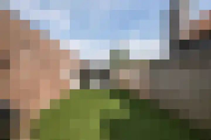 Langestraat 12 Poortvliet thumbnail 21