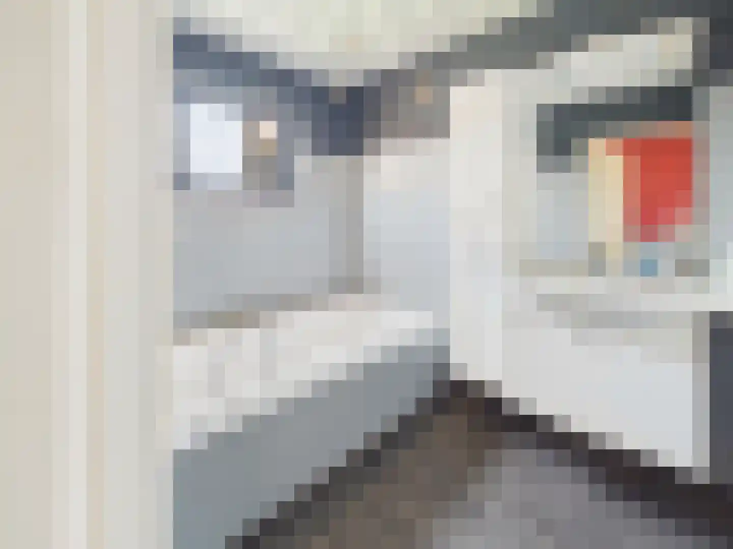Langestraat 12 Poortvliet thumbnail 30