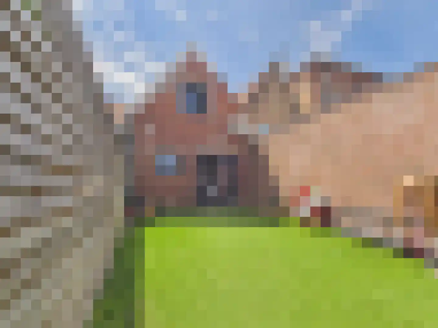 Langestraat 12 Poortvliet thumbnail 33