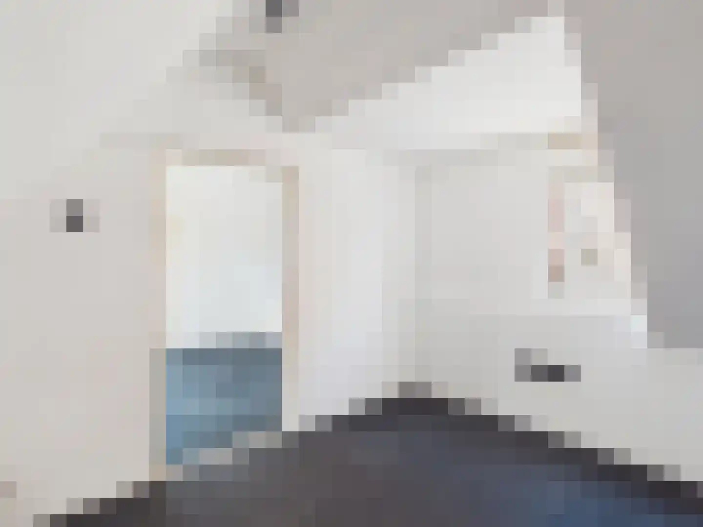 Langestraat 12 Poortvliet thumbnail 58