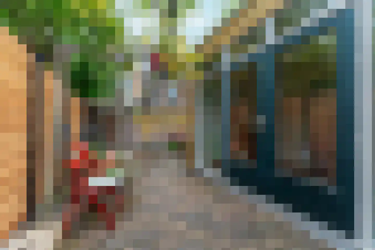 Langestraat 12 Zaandam thumbnail 22