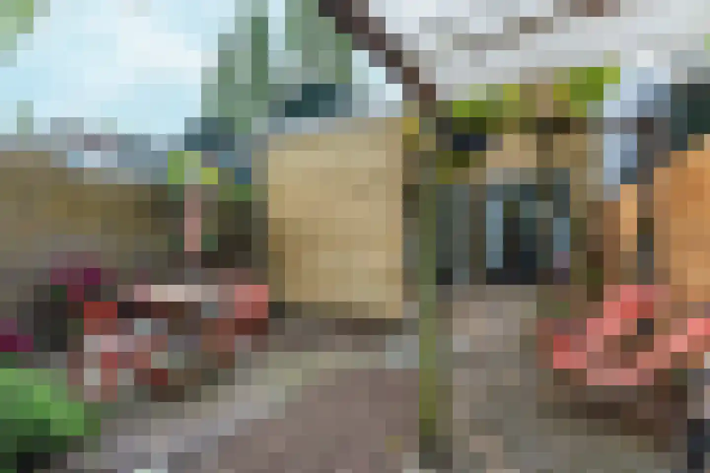 Langestraat 12 Zaandam thumbnail 23