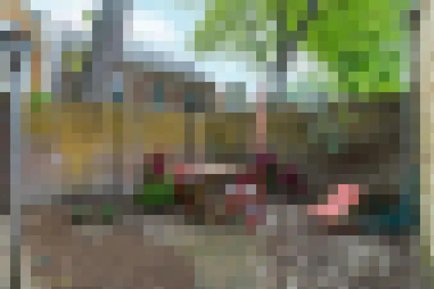 Langestraat 12 Zaandam thumbnail 29