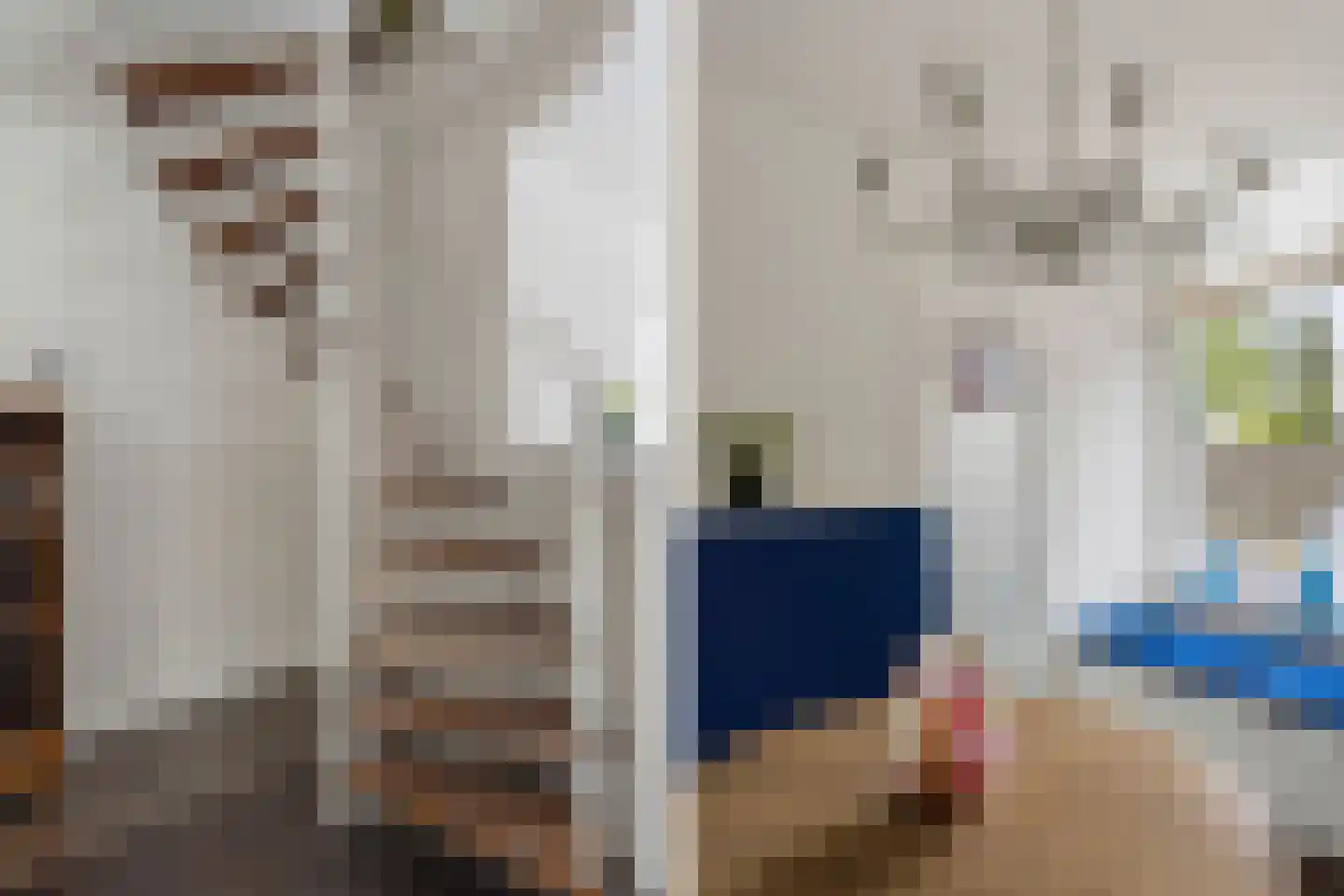 Langestraat 12 Zaandam thumbnail 31