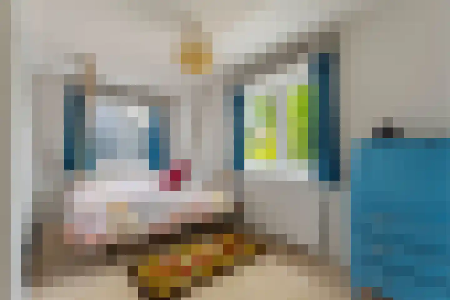 Langestraat 12 Zaandam thumbnail 32