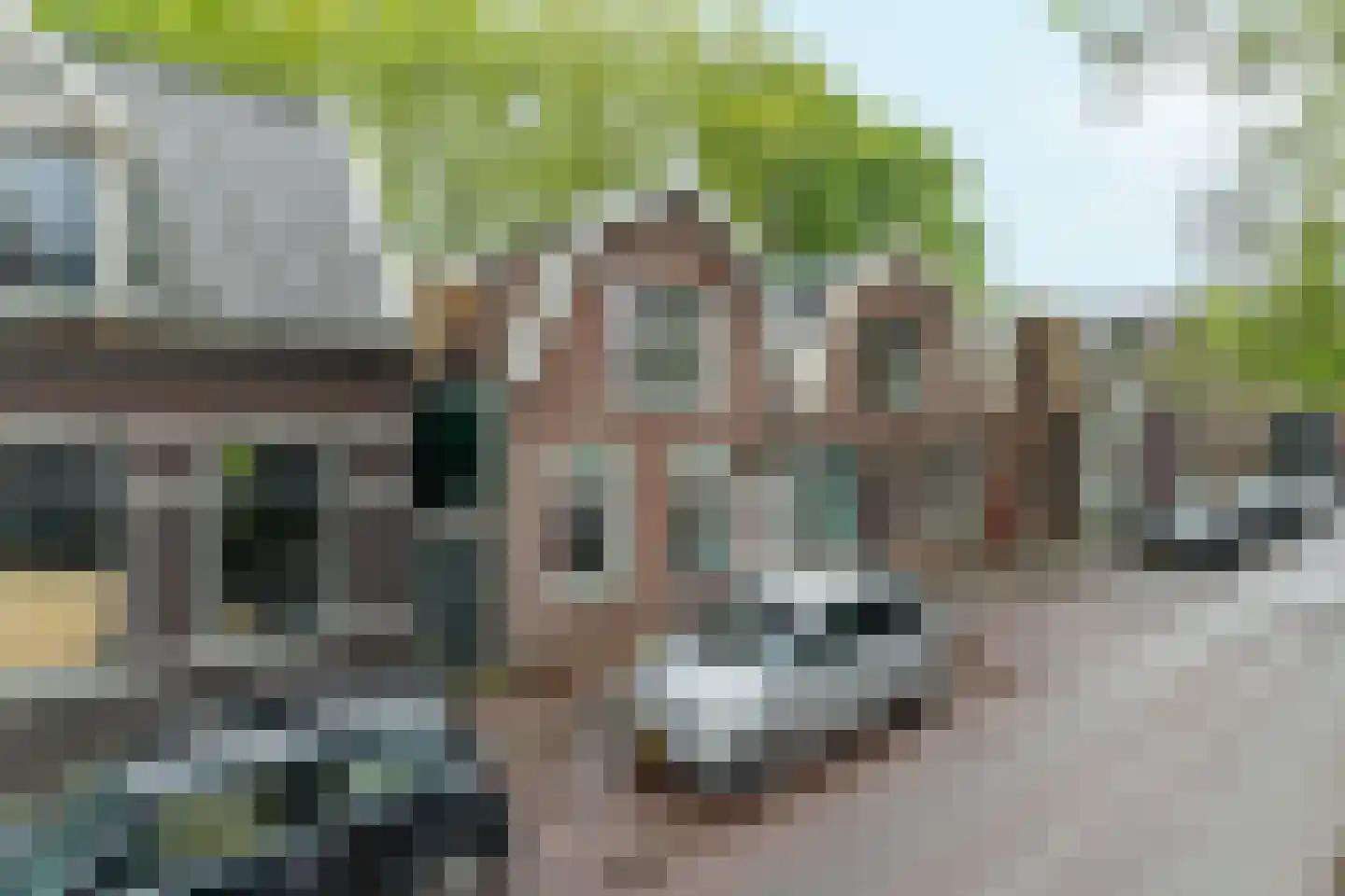 Langestraat 12 Zaandam thumbnail 48