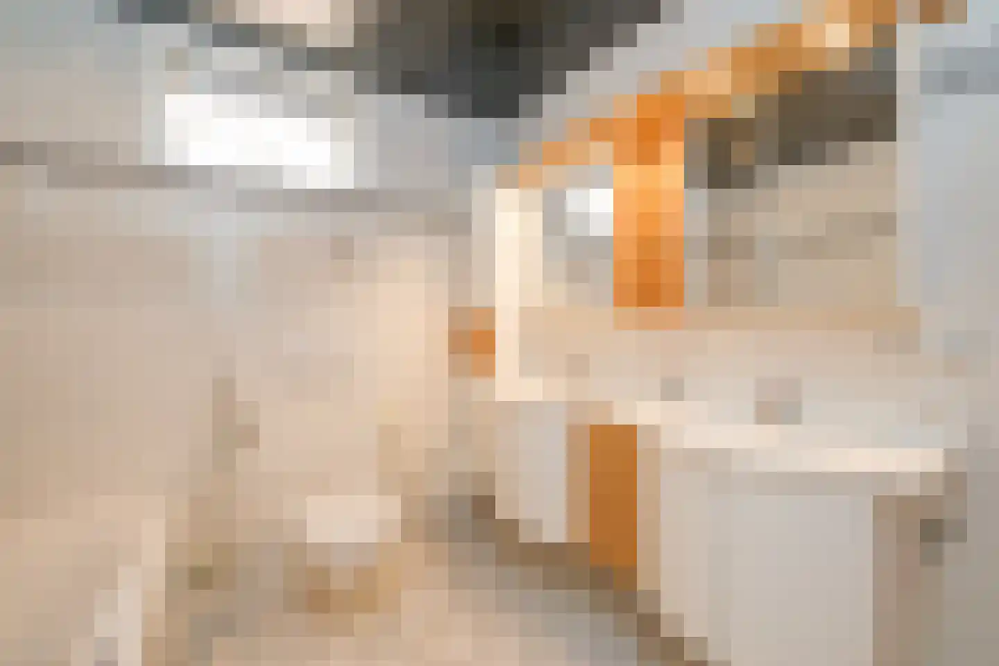 Langestraat 142 Genemuiden thumbnail 22