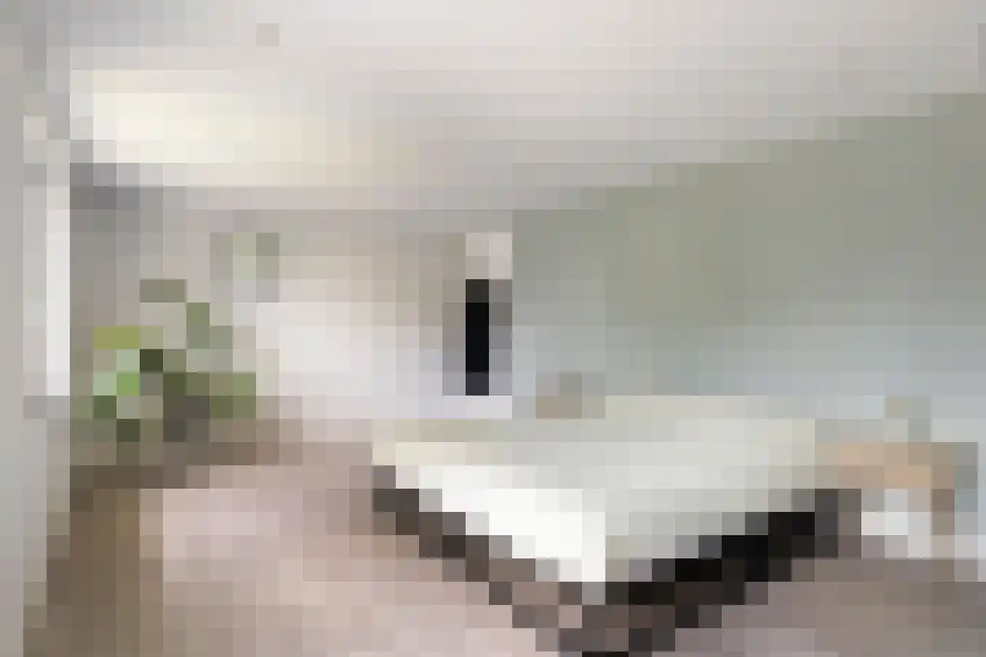 Langestraat 15 Braamt thumbnail 17