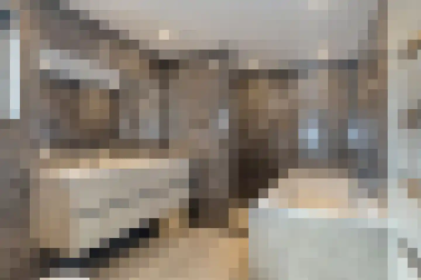 Langestraat 15 Braamt thumbnail 19