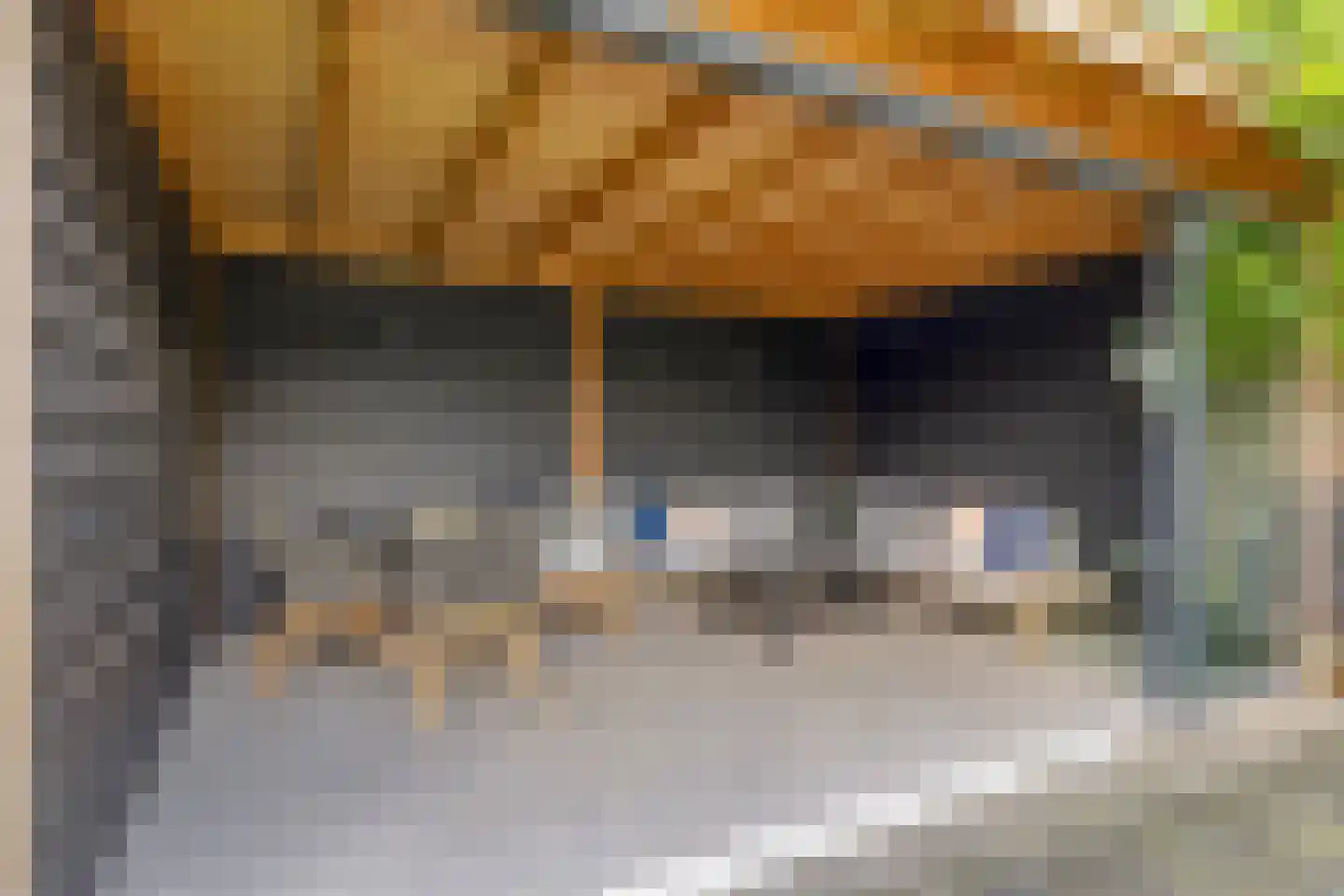 Langestraat 15 Braamt thumbnail 28