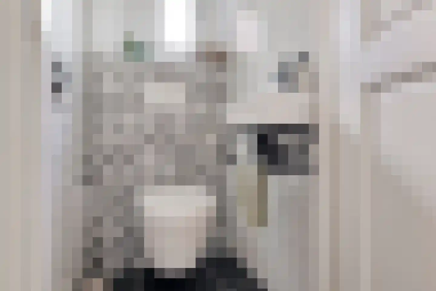 Langestraat 15 Braamt thumbnail 6