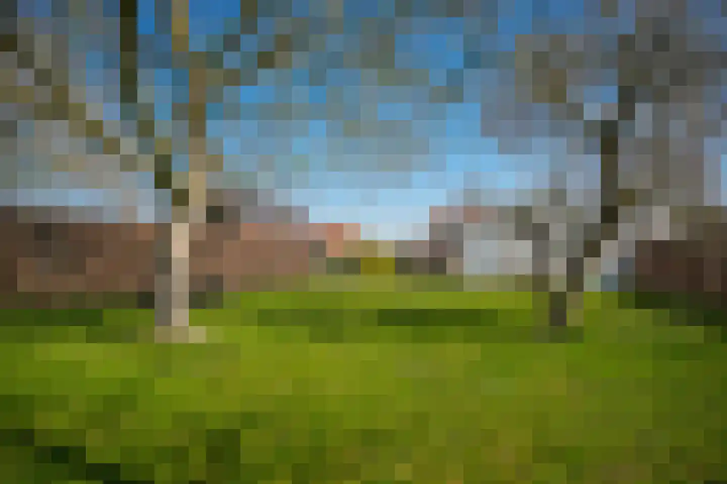 Langestraat 16 Wijk en Aalburg thumbnail 32