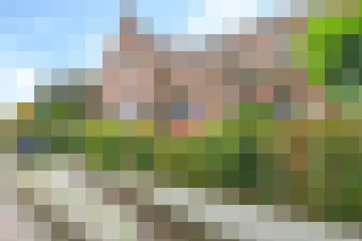 Langestraat 20 a Braamt thumbnail 26