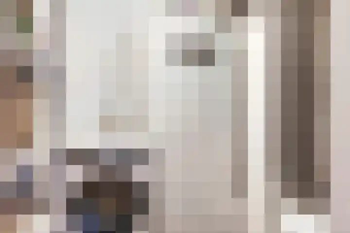 Langestraat 20 a Braamt thumbnail 33