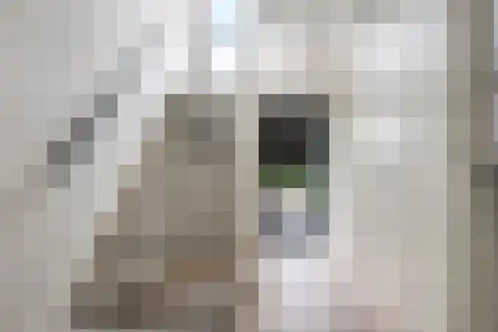 Langestraat 20 f Braamt thumbnail 10