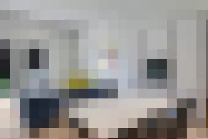 Langestraat 20 f Braamt thumbnail 20