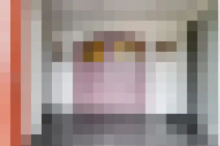 Langestraat 20 f Braamt thumbnail 8