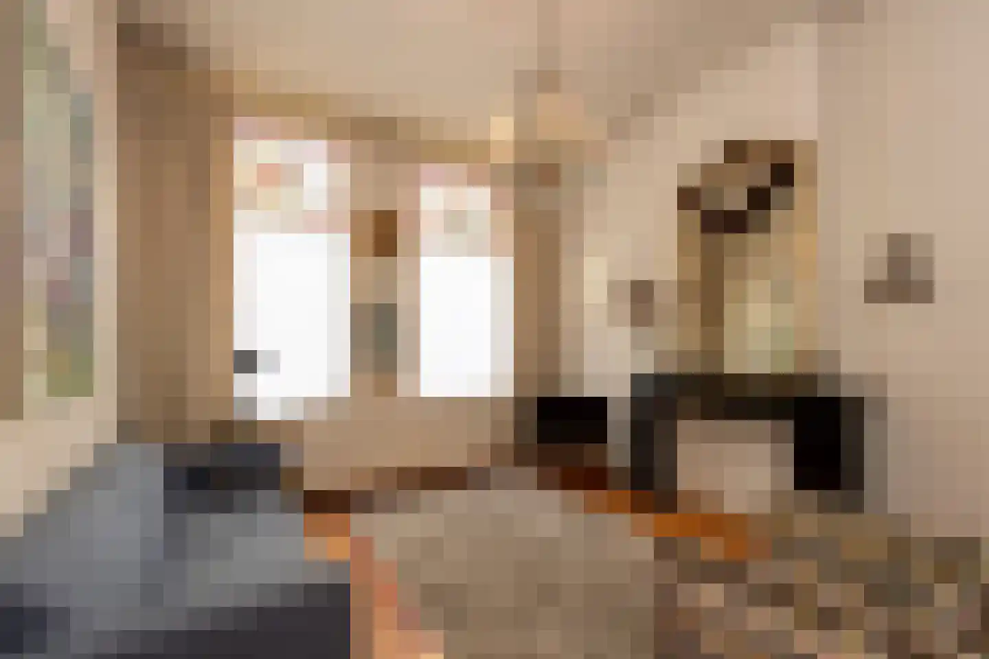 Langestraat 20 Tilburg thumbnail 12