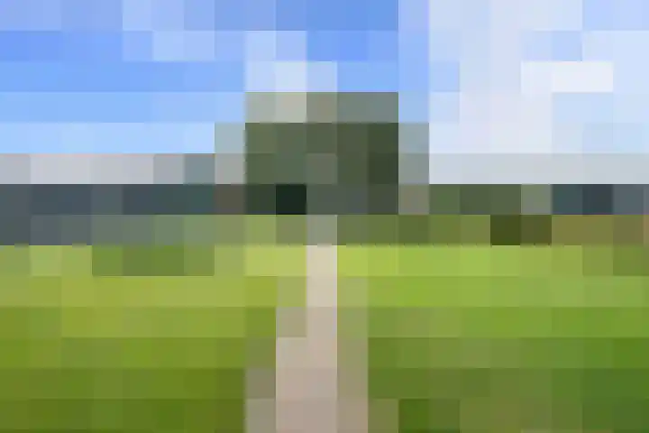Langestraat 215 Klazienaveen thumbnail 45