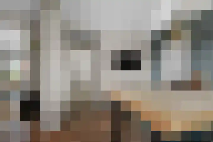 Langestraat 215 Klazienaveen thumbnail 9