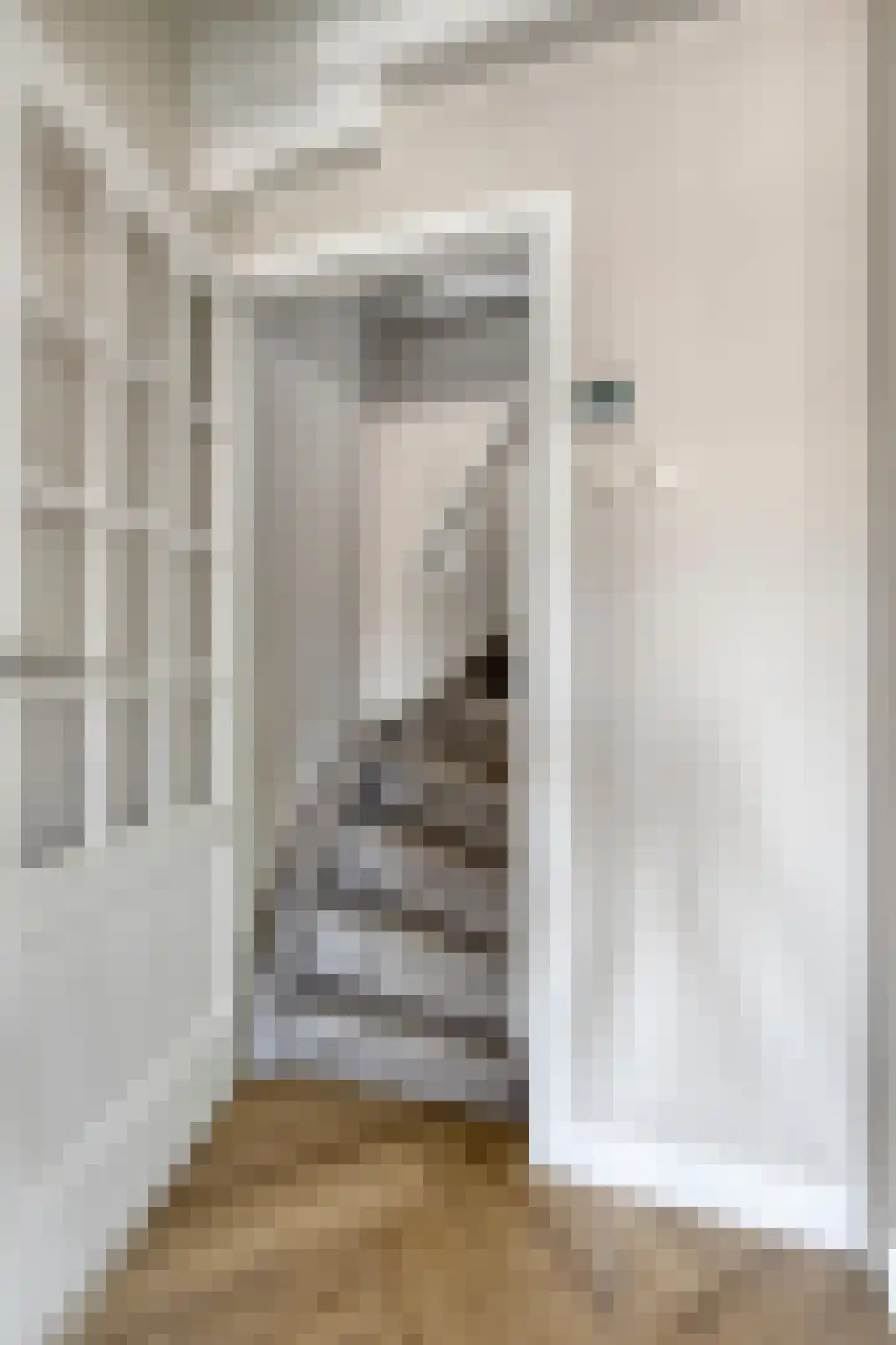 Langestraat 22 Zaandam thumbnail 17