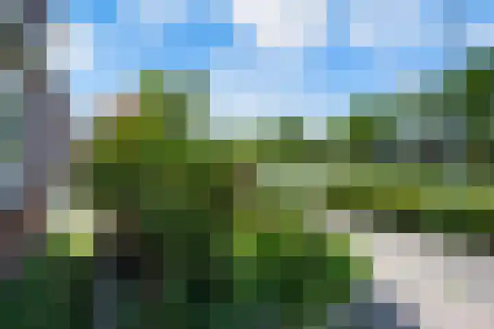 Langestraat 23 Klazienaveen thumbnail 43