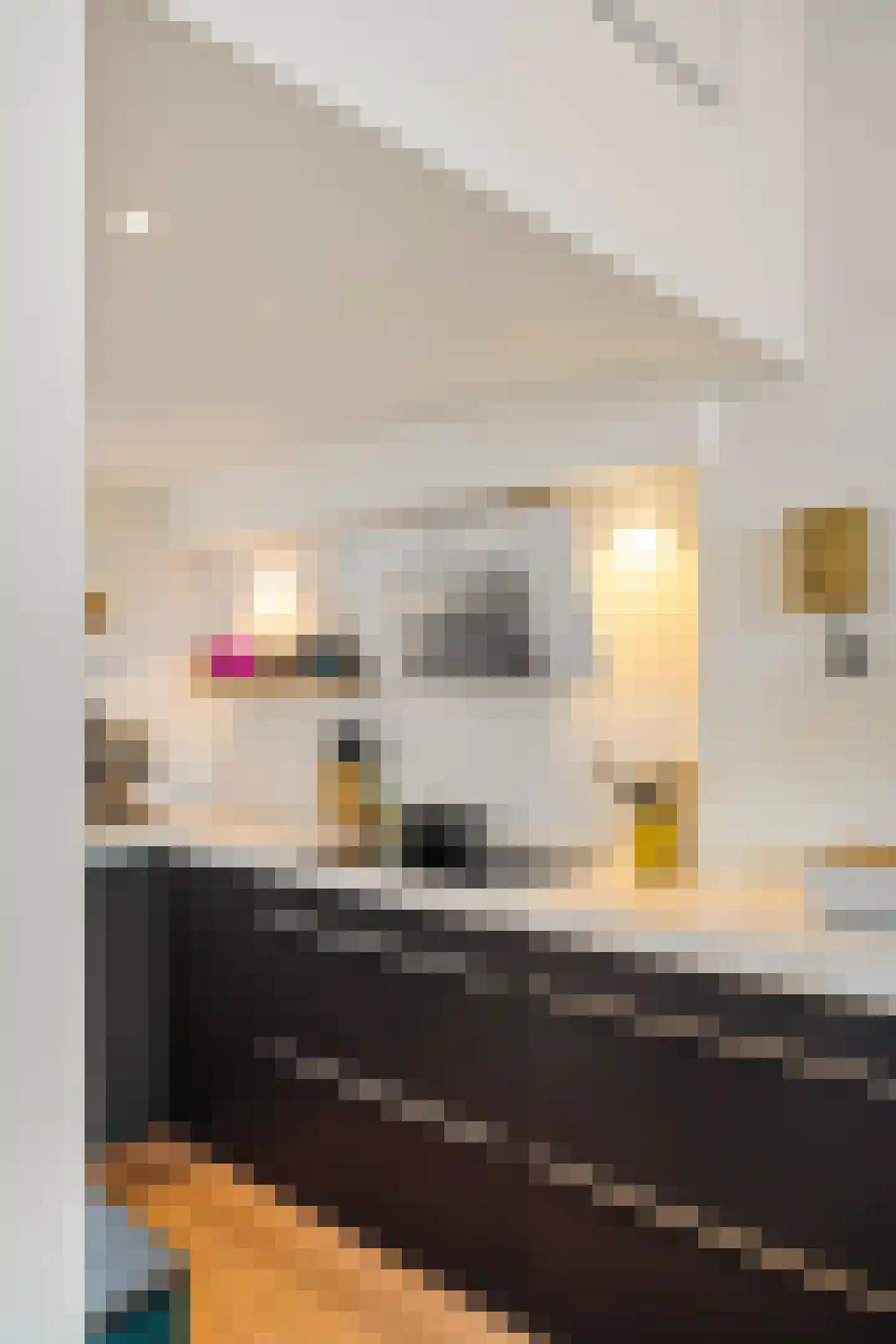 Langestraat 240 Groningen thumbnail 22