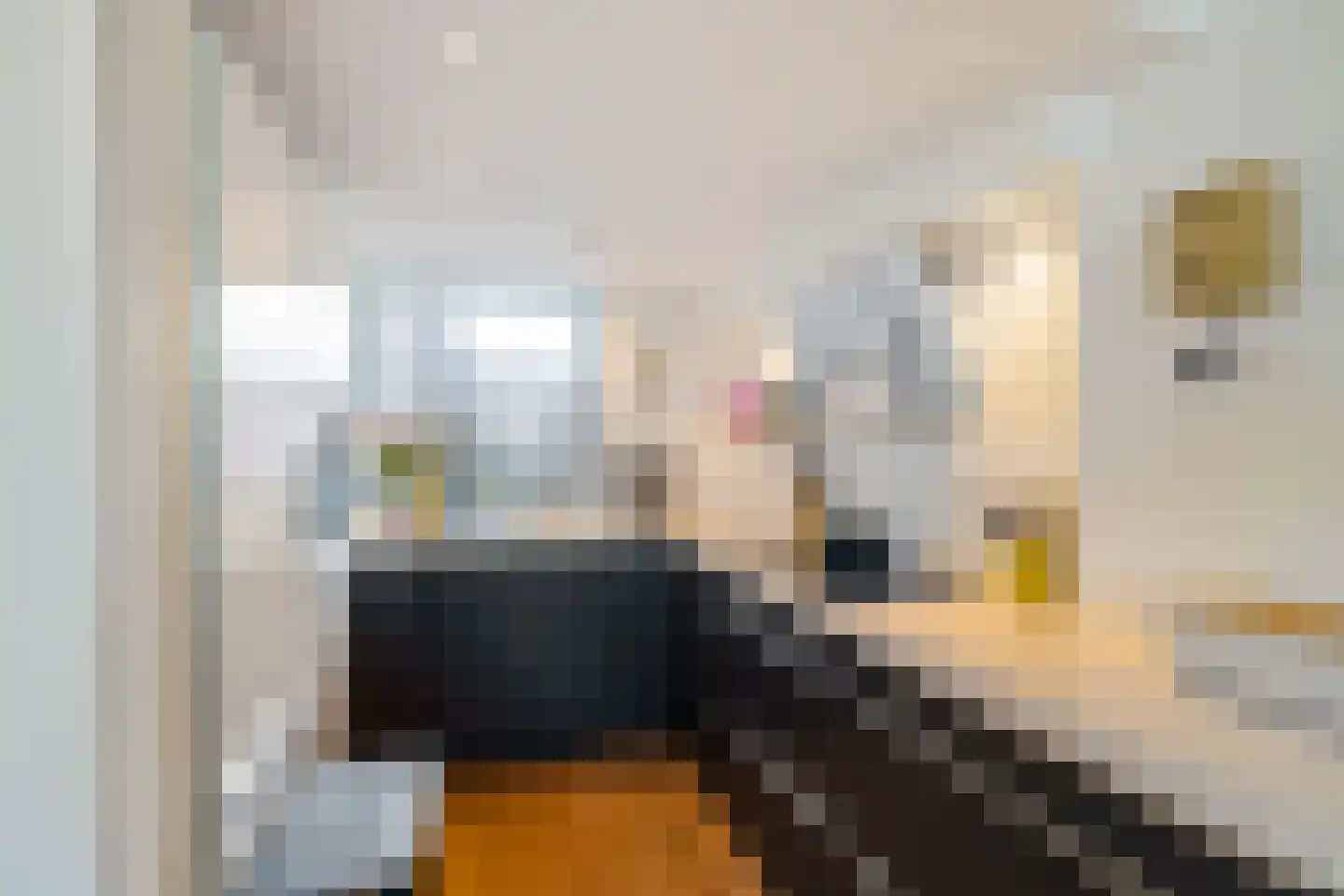 Langestraat 240 Groningen thumbnail 24