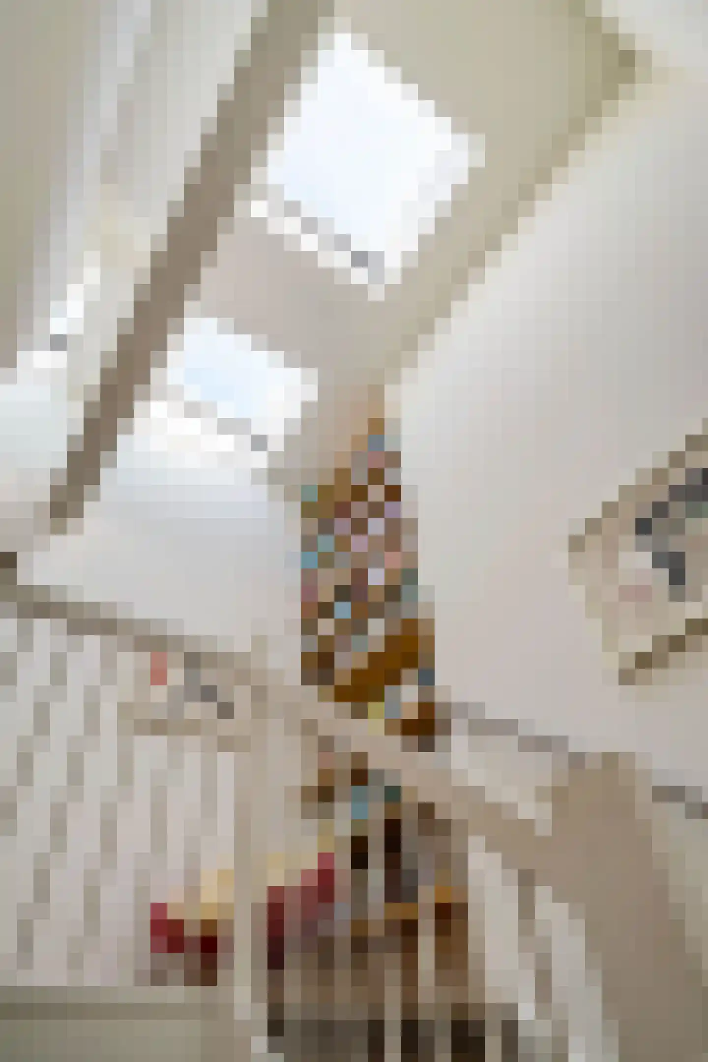 Langestraat 240 Groningen thumbnail 33