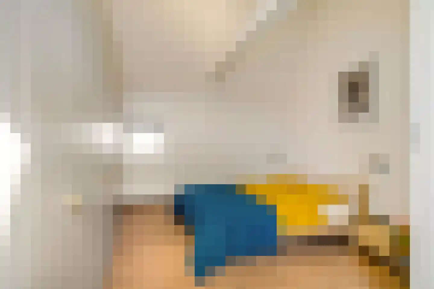 Langestraat 240 Groningen thumbnail 36