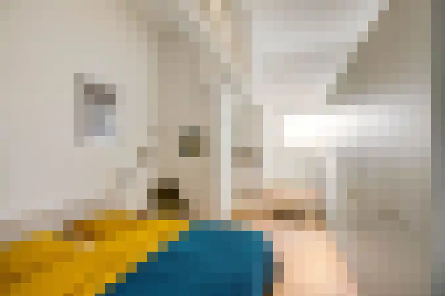 Langestraat 240 Groningen thumbnail 38