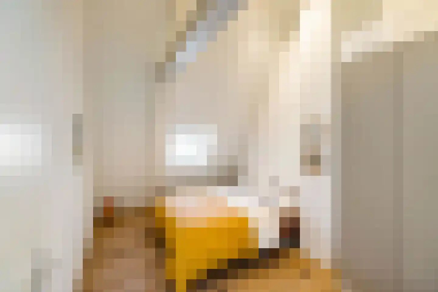 Langestraat 240 Groningen thumbnail 40