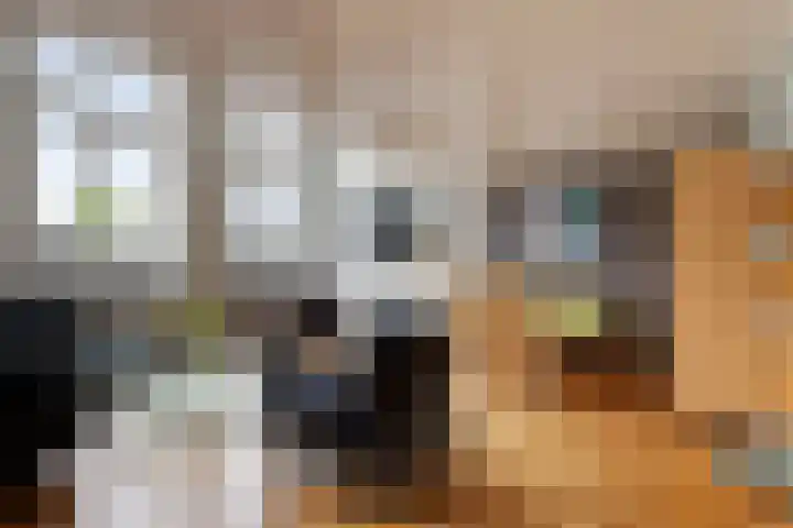 Langestraat 242 Groningen thumbnail 22